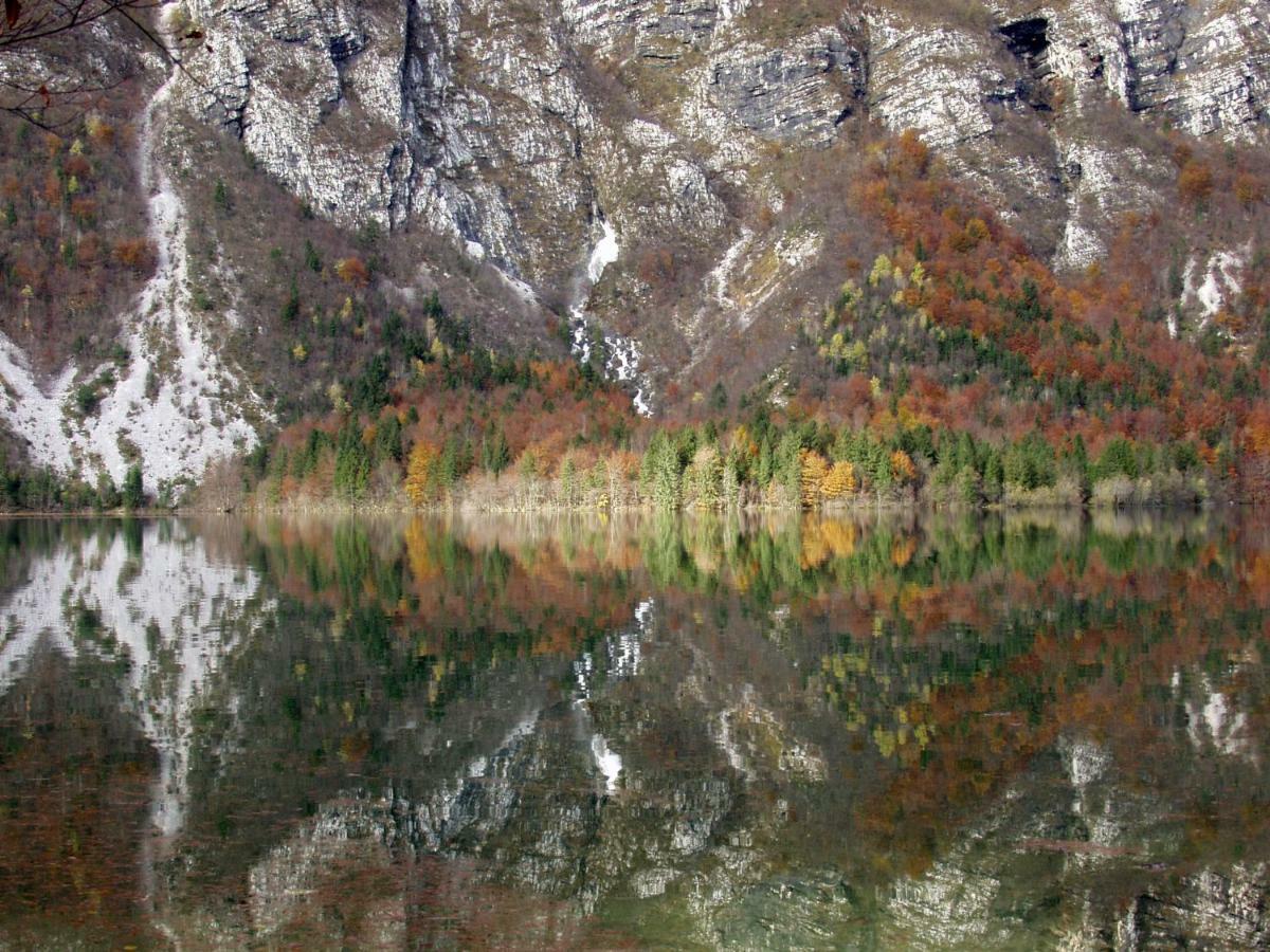 Apartment Ravnik Brod 13 Bohinj Exterior photo